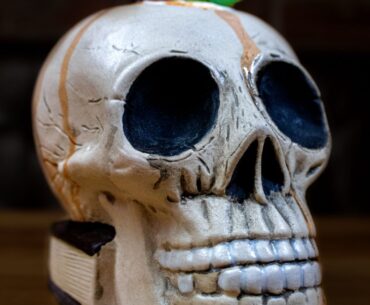 WhatsApp Image 2025-08-10 at 23.52.10