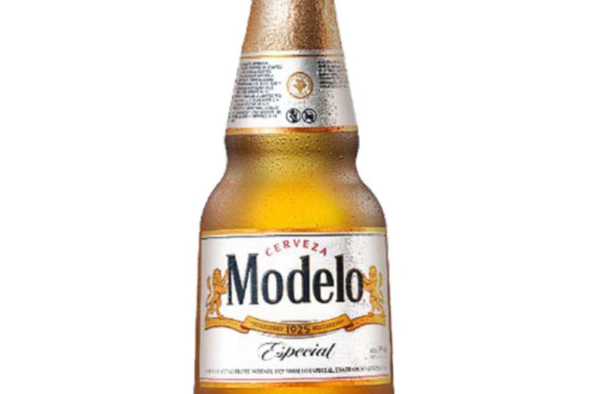 Modelo