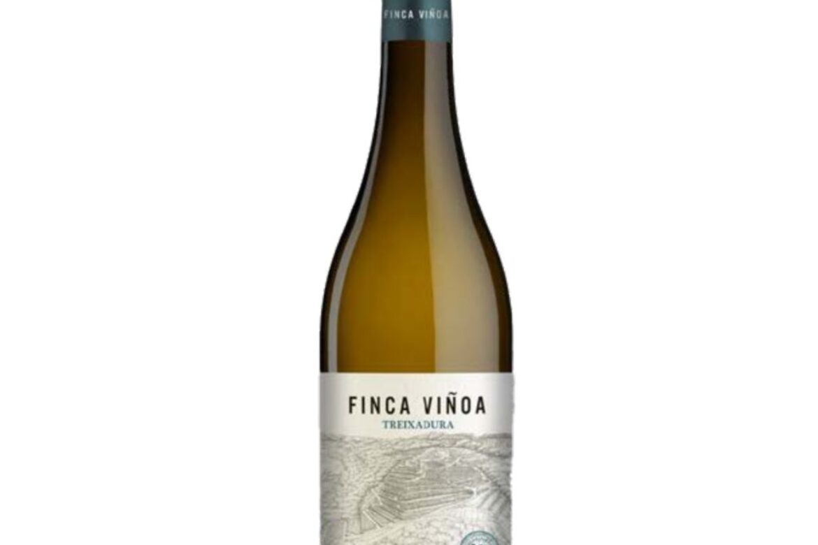 Finca Viñoa